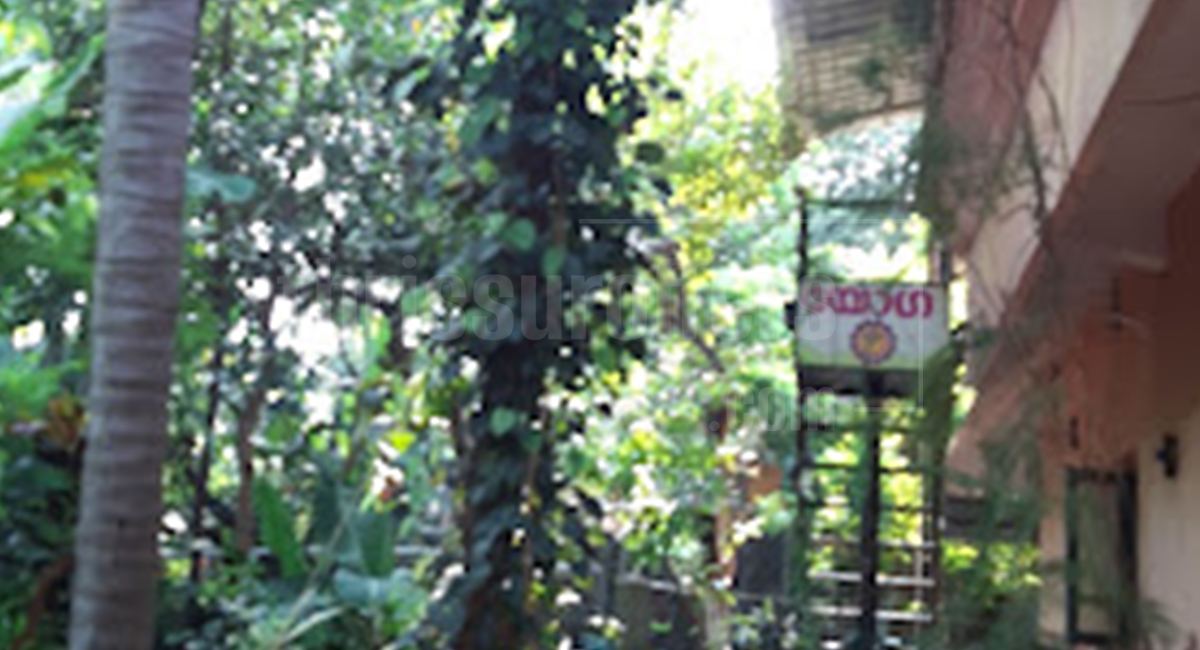 Yoga The Healing Energy - Pushpagiri,Thrissur