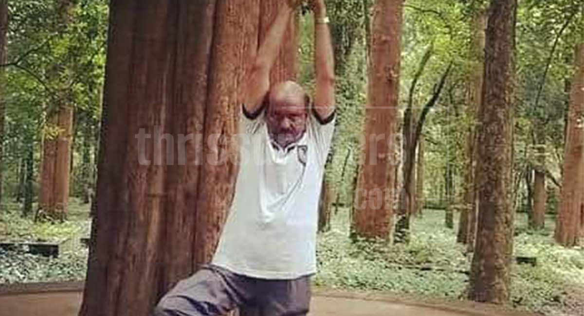 Yoga The Healing Energy - Pushpagiri,Thrissur